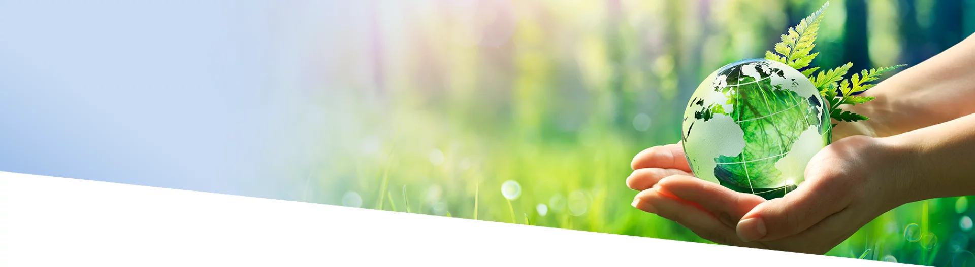 /img/slider/11/thumbnail.webp?v=1d17135b572ac0e3c82253bd4d22d97e